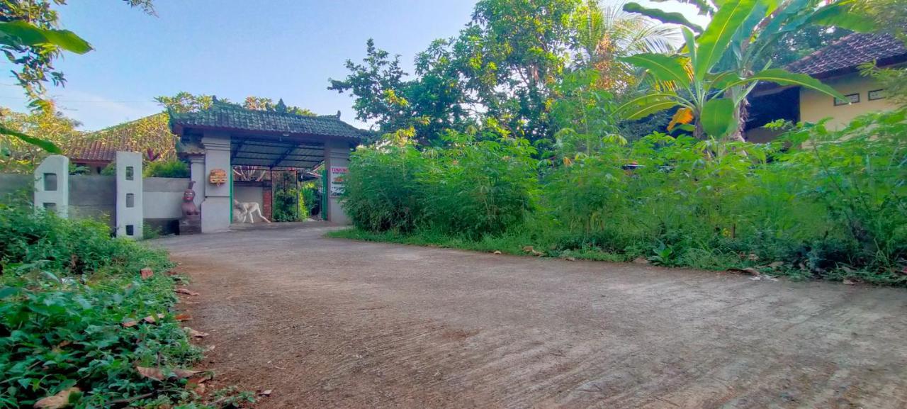 Tunjung Guest House Lovina Beach Pabean Buleleng Exterior foto